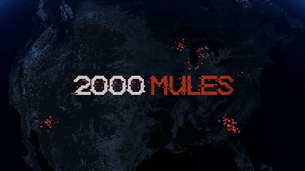 2000 Mules