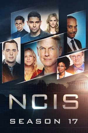 NCIS - Season 17