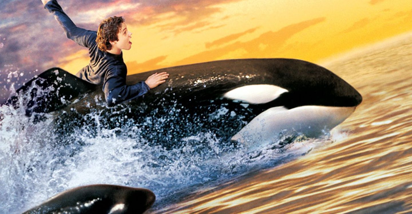 Free Willy 2: The Adventure Home