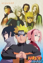 Naruto Shippuden - Season 22