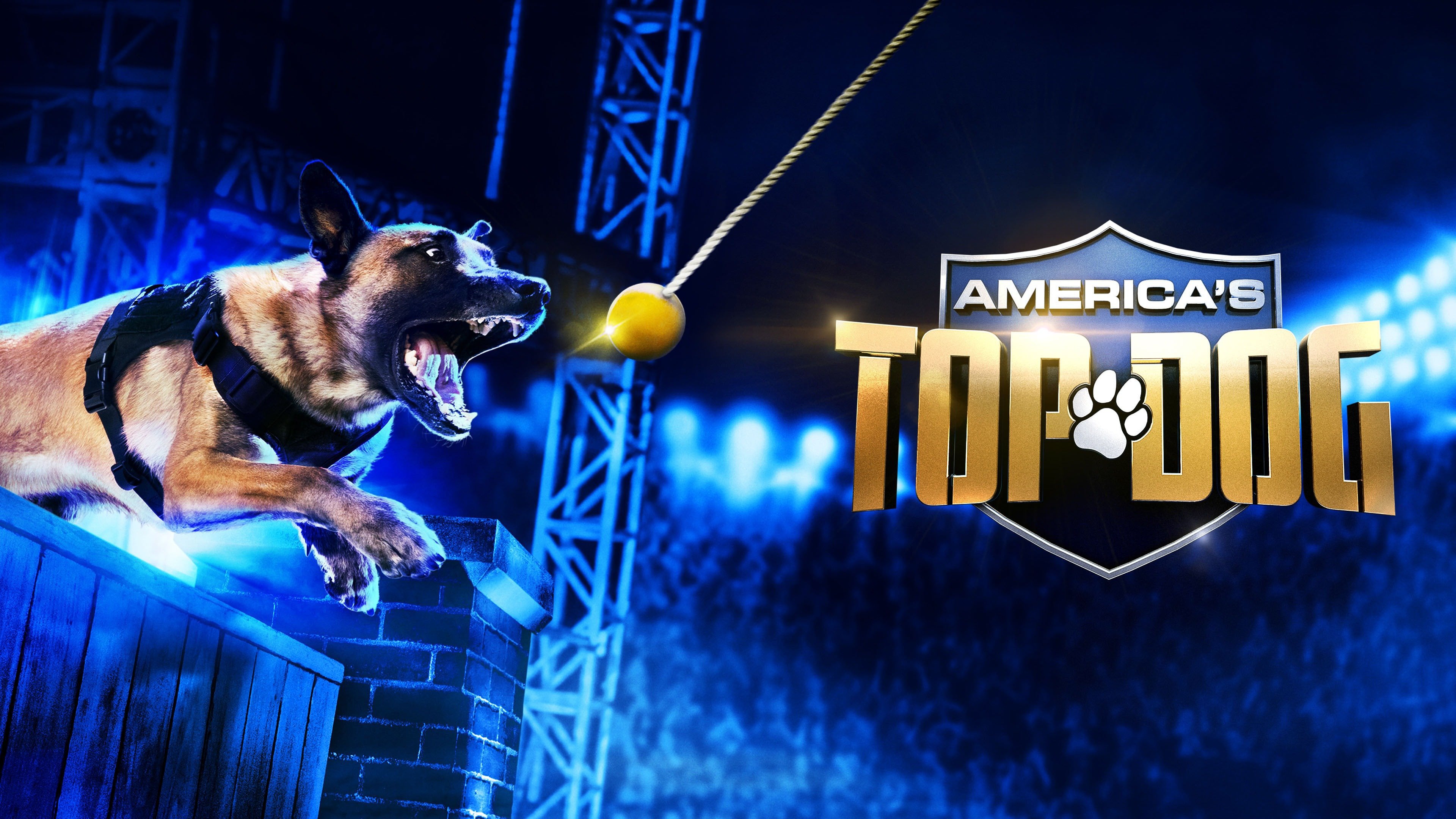America's Top Dog - Season 1