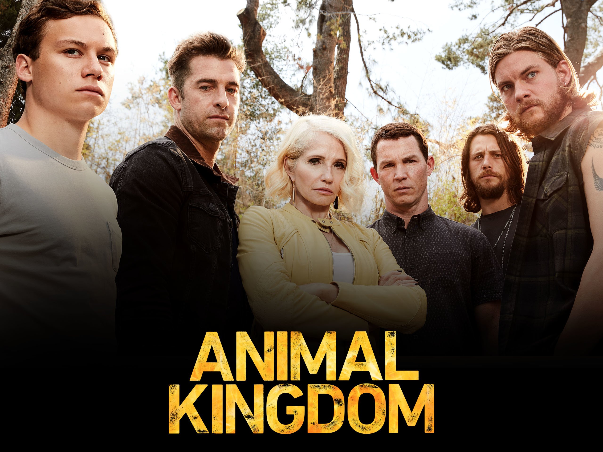Animal Kingdom - Season 5
