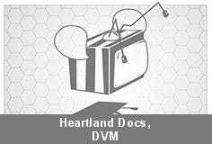 Heartland Docs, DVM - Season 1