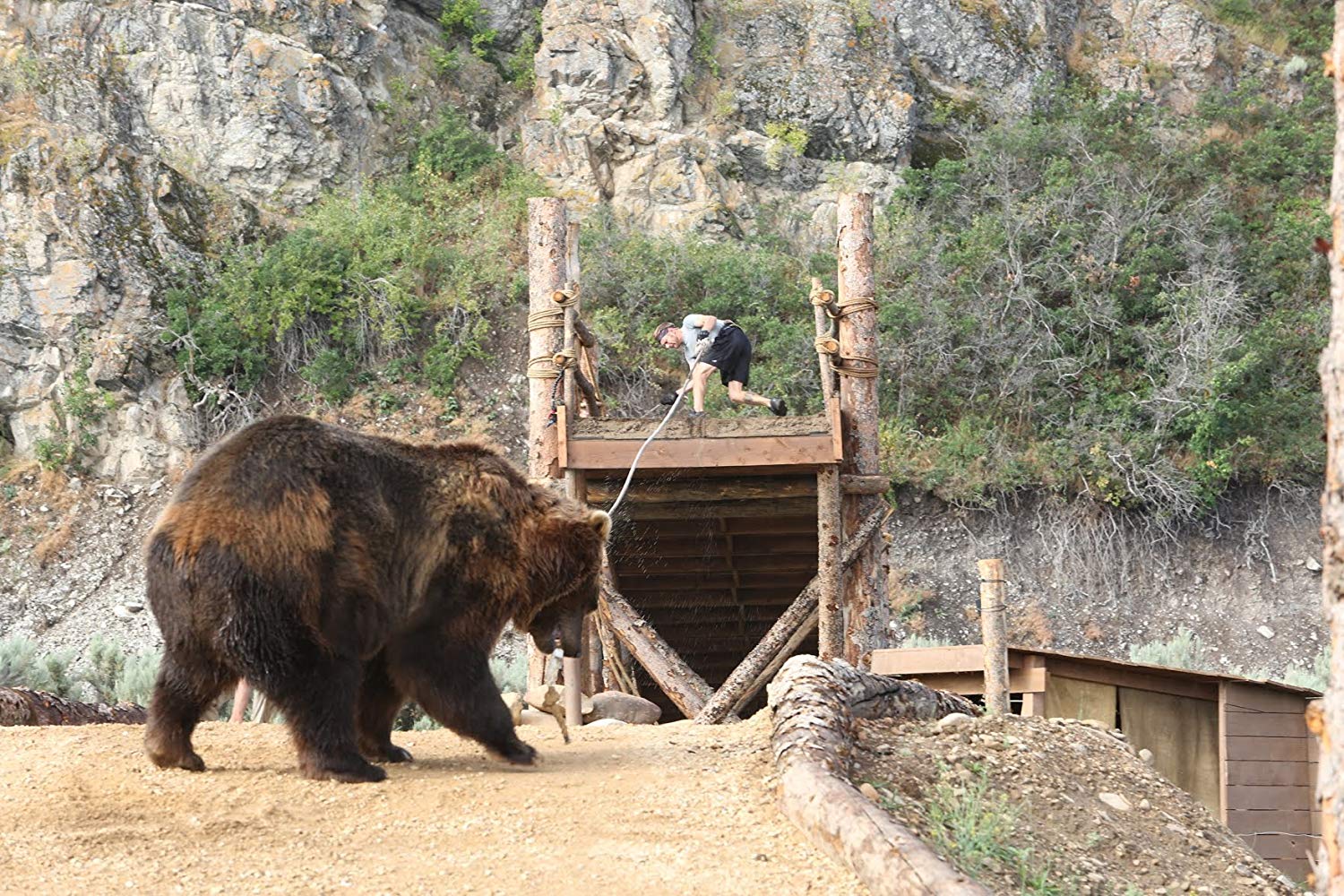 Man vs Bear - Season 1