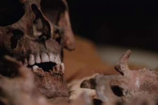 Mummies Unwrapped - Season 1
