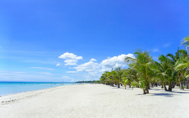 Off The Grid On The Beach - Season 1