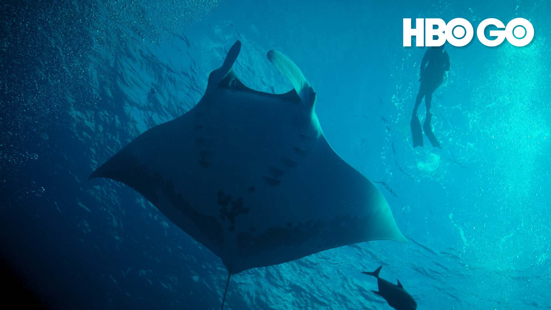 Perpetual Planet: Heroes of the Oceans