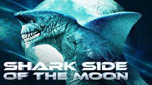 Shark Side of the Moon