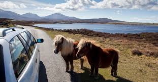 Shetland - Season 2