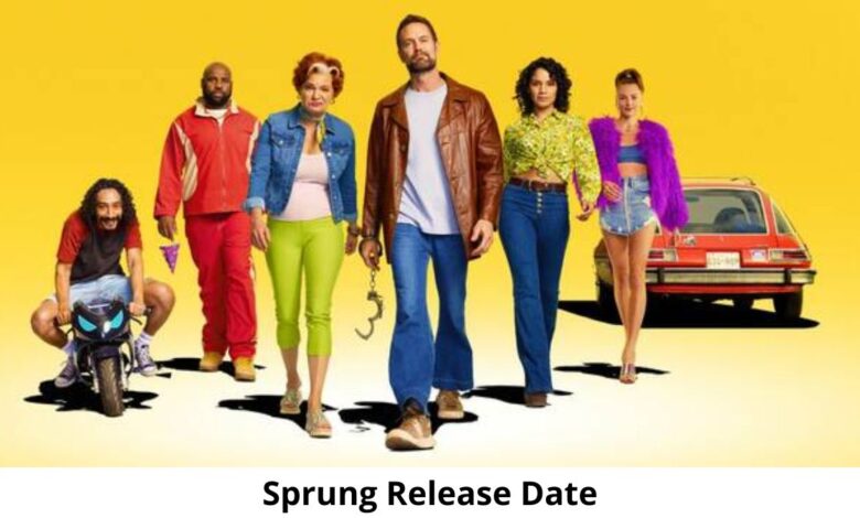 Sprung - Season 1