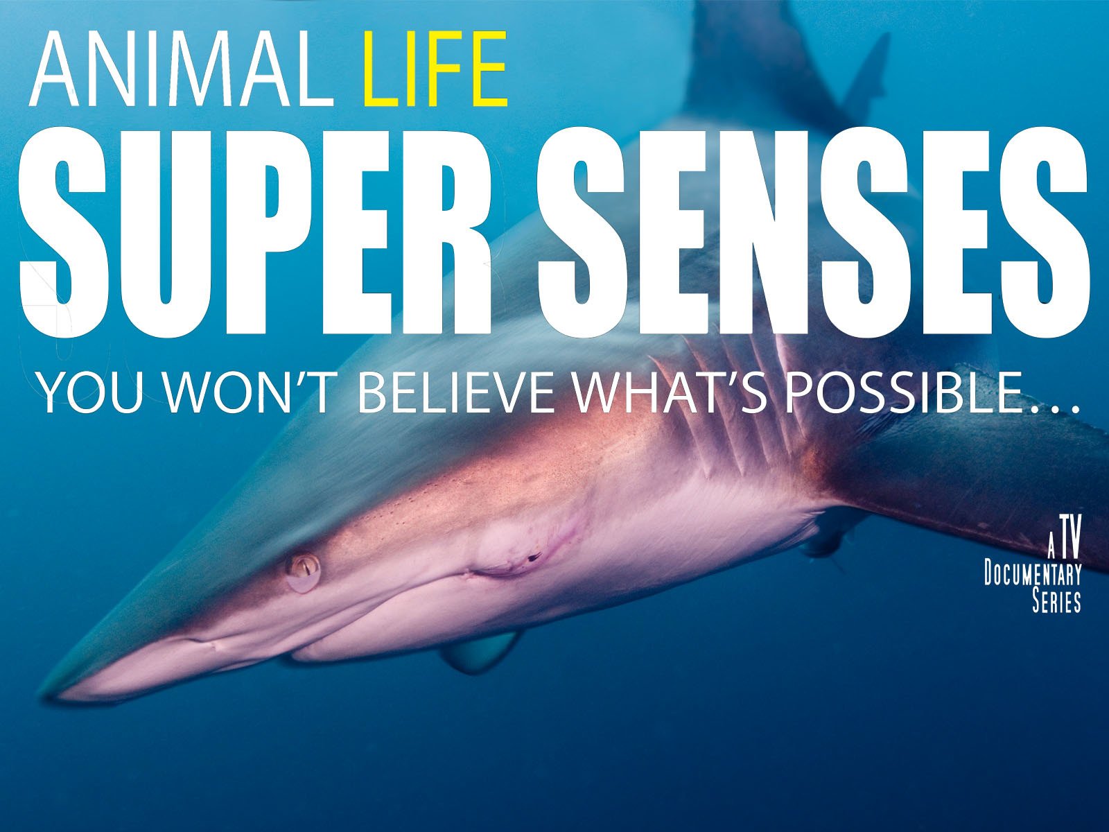 Super Senses - Season 1