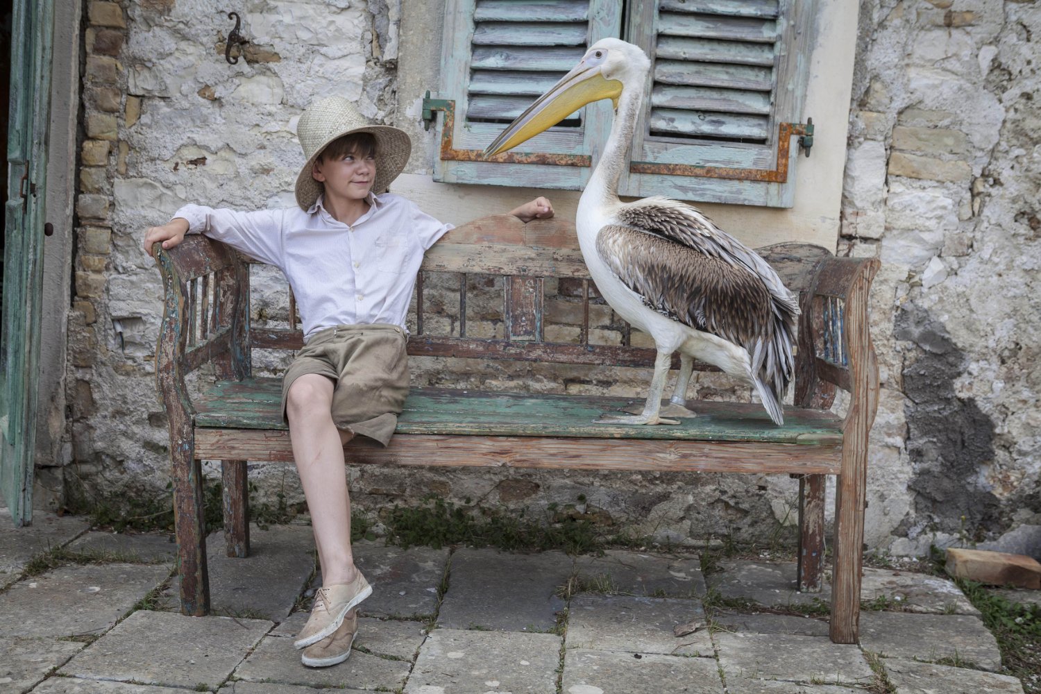 The Durrells - Season 2