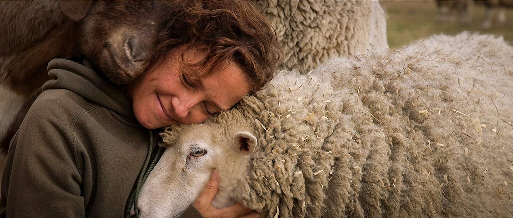 The End of Meat