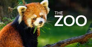 The Zoo - Season 5