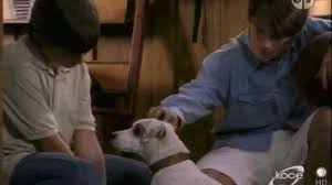 Wishbone season 1
