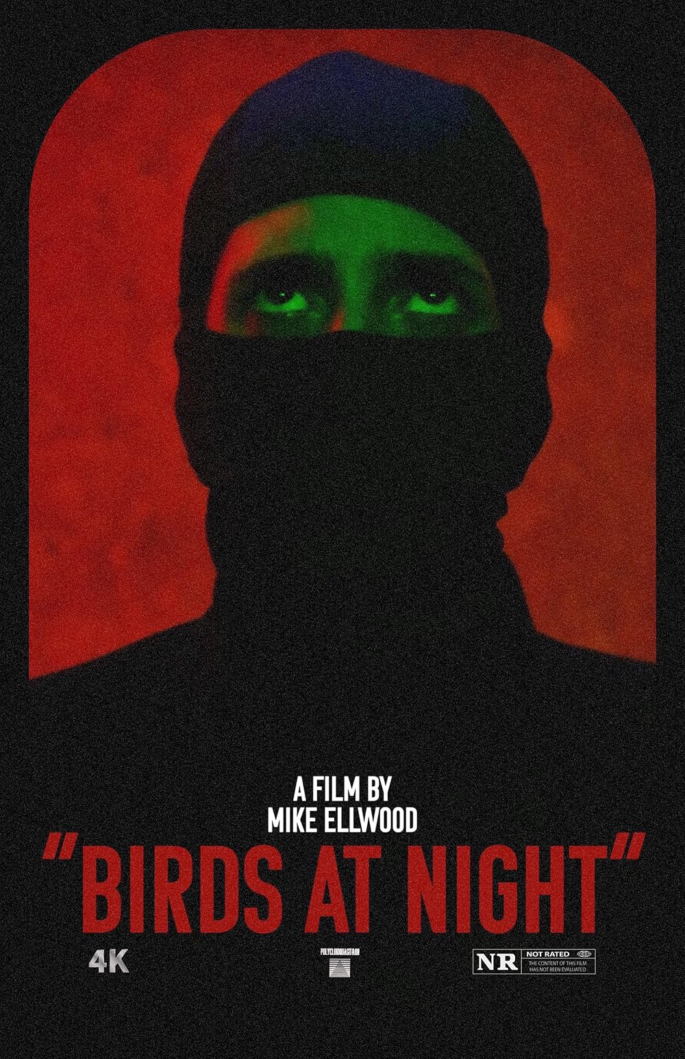 Birds at Night (2024)