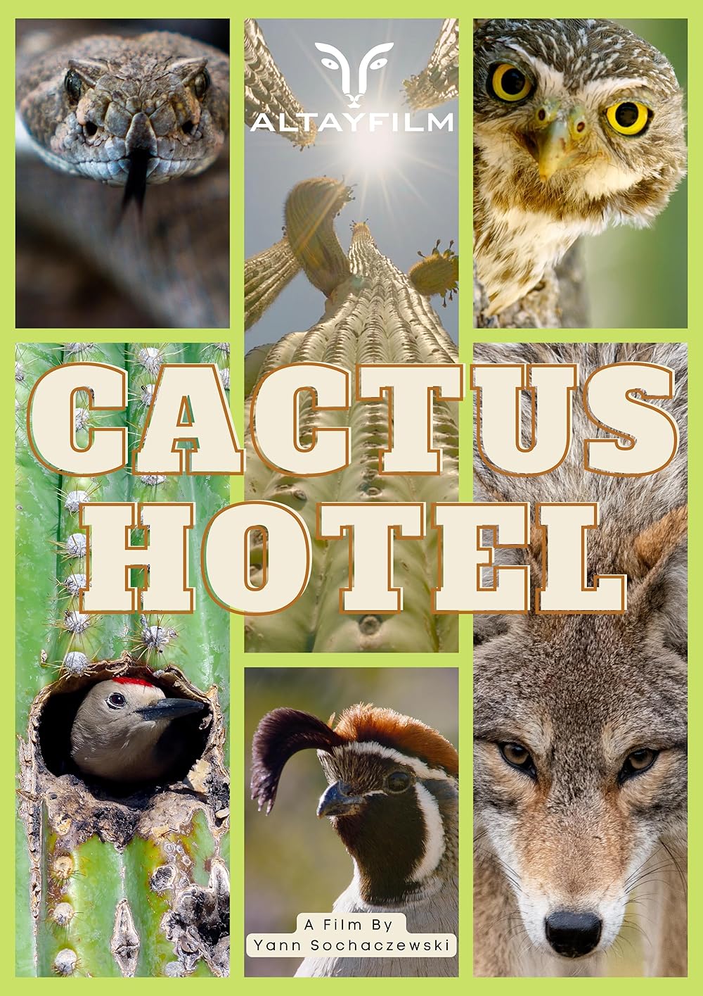 Kaktus Hotel (2023)