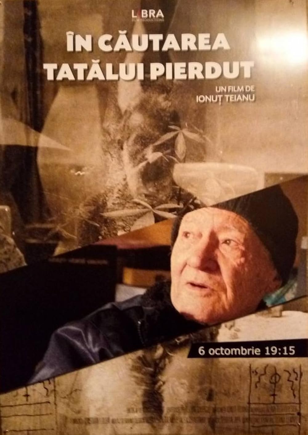 ÃŽn cÃ£utarea tatÃ£lui pierdut (2016)