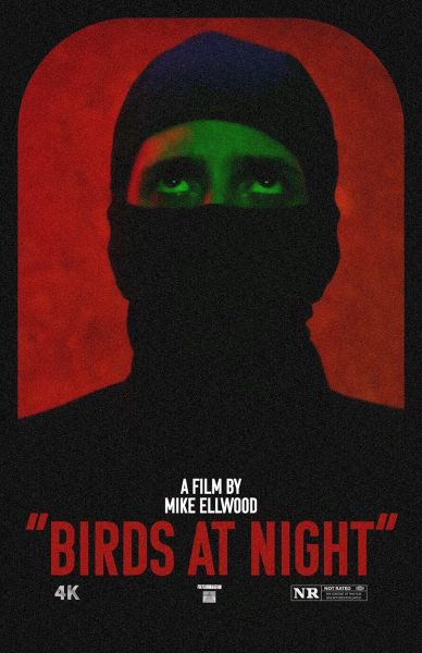 Birds at Night (2024)