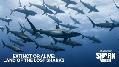 Extinct or Alive: Land of the Lost Sharks (2020)