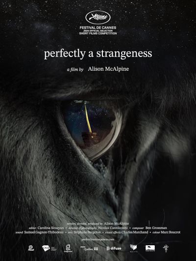 Perfectly A Strangeness (2024)