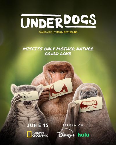 Underdogs (2025) 2025